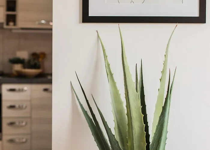 Apartamento La Casa Di Marigio
